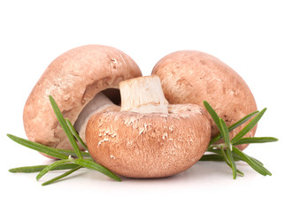 Brown champignon mushroom and rosemary leaves
