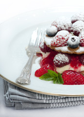Delicious biscuit and berry dessert