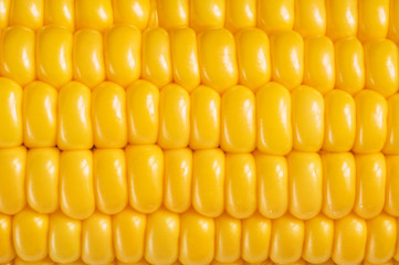 corn background, macro closeup