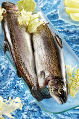rainbow trouts
