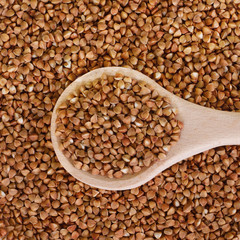 Buckwheat groats in a wooden spoon