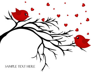 Loving pair of birds on a branch