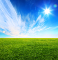Fototapeta na wymiar Obraz z zielonym polu trawy i jasnego nieba