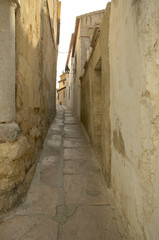 Fototapeta na wymiar Ulica Kamień w historycznym centrum Cordoba, Hiszpania.