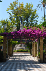 Alameda Apodaca, a park in Cadiz, Spain