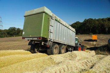Obraz premium Silomaisernte -Transport