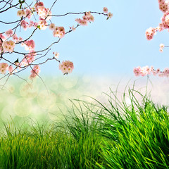 Frühling, Frohe Ostern, Hintergrund
