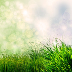 Frühlings-Hintergrund: grünes Gras mit Bokeh