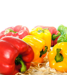 Bell Pepper close up