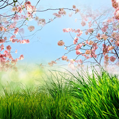 Frohe Ostern: Frühlings-Hintergrund mit Kirschblüten