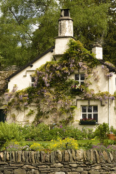 English Country Cottage With Wisteria