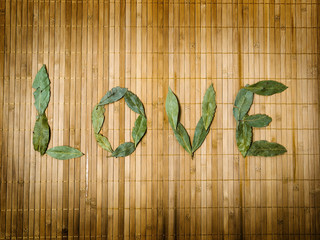 Word love written with leaves