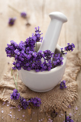 fresh lavender in mortar
