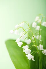 Peel and stick wall murals Lily of the valley lily of the valley