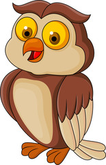 Funny owl cartoon