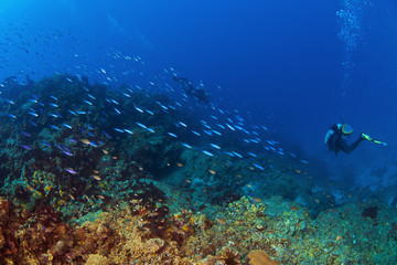 Fototapeta na wymiar Into the Deep w St Lucia