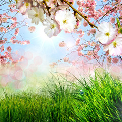 Frühling, Frohe Ostern, Hintergrund mit Kirschblüten