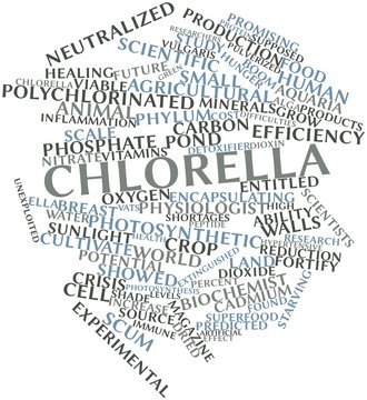 Word cloud for Chlorella