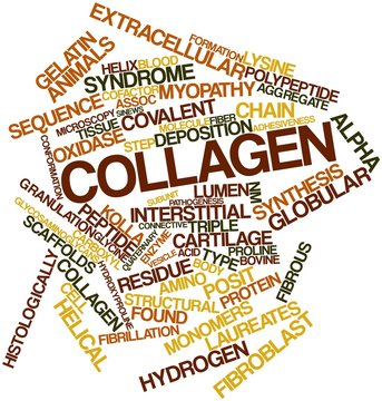 Word cloud for Collagen
