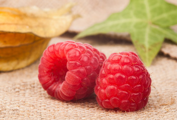raspberry