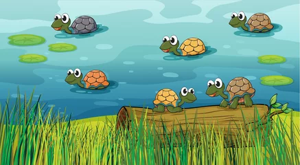 Deurstickers Onderwaterwereld Een groep schildpadden in de rivier