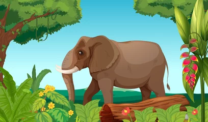 Foto op Plexiglas Een grote olifant in de jungle © GraphicsRF