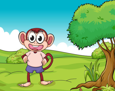 A monkey standing