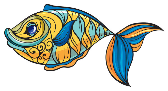 A colorful fish