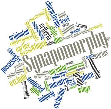 Word cloud for Synapomorphy