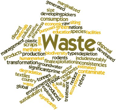 Word cloud for Waste