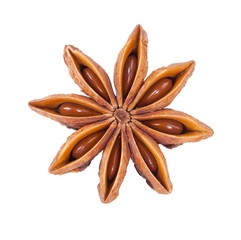 Star anise isolated on white background II