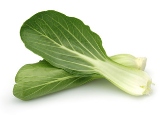 Bok Choy, Chinese cabbage