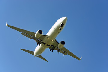 Obraz premium Commercial Flight