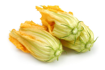 Squash Blossoms