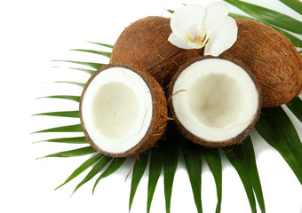 Fototapeta na wymiar Orzechy kokosowe z liści i kwiatów, samodzielnie na białym tle