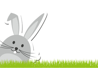 Grauer Hase schaut von der Seite