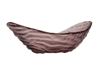 Close-up of a scallop bowl