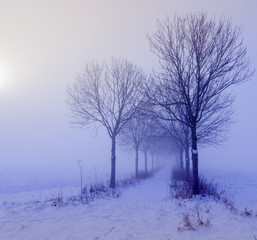 Atmospheric winter landscape