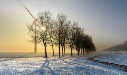 Bicycle track in a foggy wintry landscape with wind turbine