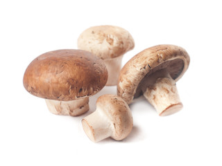 mushroom