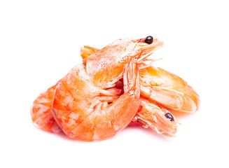 Royal shrimps