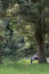 Obraz premium Enjoying the woods in Waiki