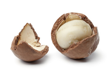 Macadamia nut in a broken shell