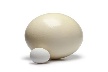 Fotobehang Eieren Ostrich egg and chicken egg  © Picture Partners