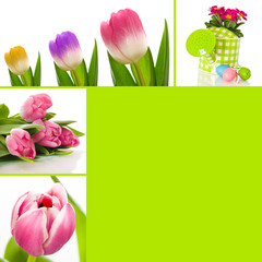 Spring collage - Frühling Colla