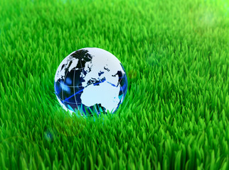 Fototapeta na wymiar Crystal globe on grass