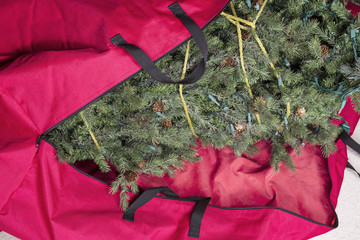 Putting the Chirstmas tree way for next year