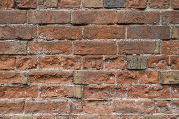 Fototapeta premium brick walls