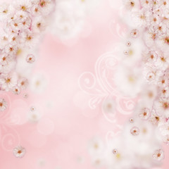 Fr&uuml;hlingsbl&uuml;mchen