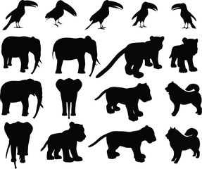 Zoo animals collection